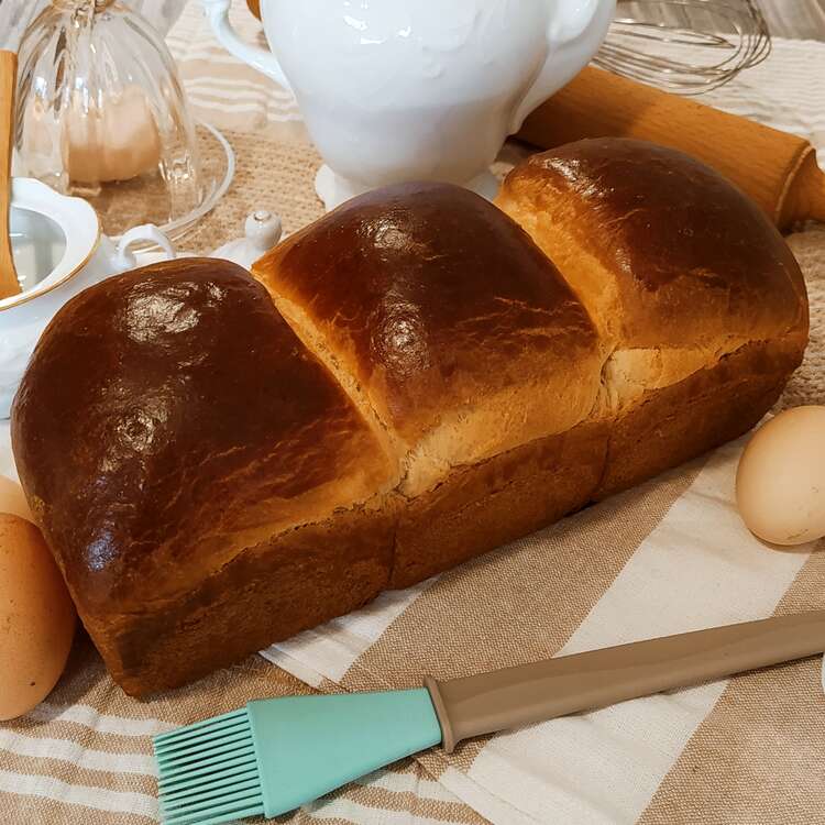 pan brioche, un pan dulce, visto frontalmente